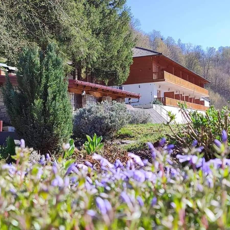 B&B Zlatna Nit Bosanska Krupa Eksteriør bilde